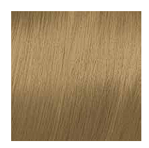 Elgon Get The Color 10.0 Yoğun Platin Sarı 100 ML
