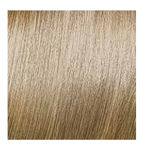 Elgon Get The Color 10.31 Platin Altın Küllü Sarı 100 ML