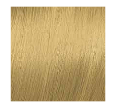 Elgon Get The Color 10 Yoğun Platin Sarı 100 ML